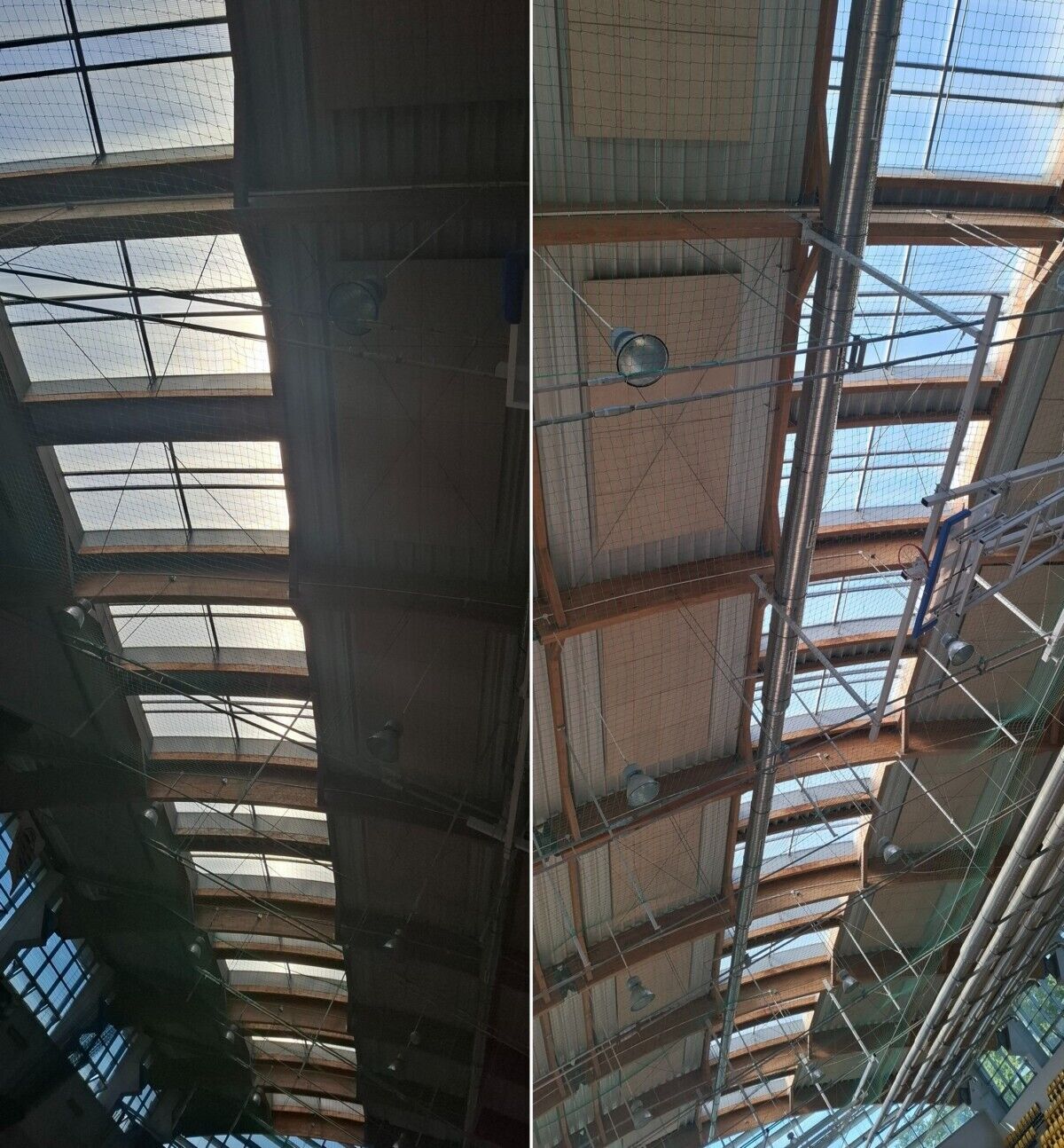 dachhali