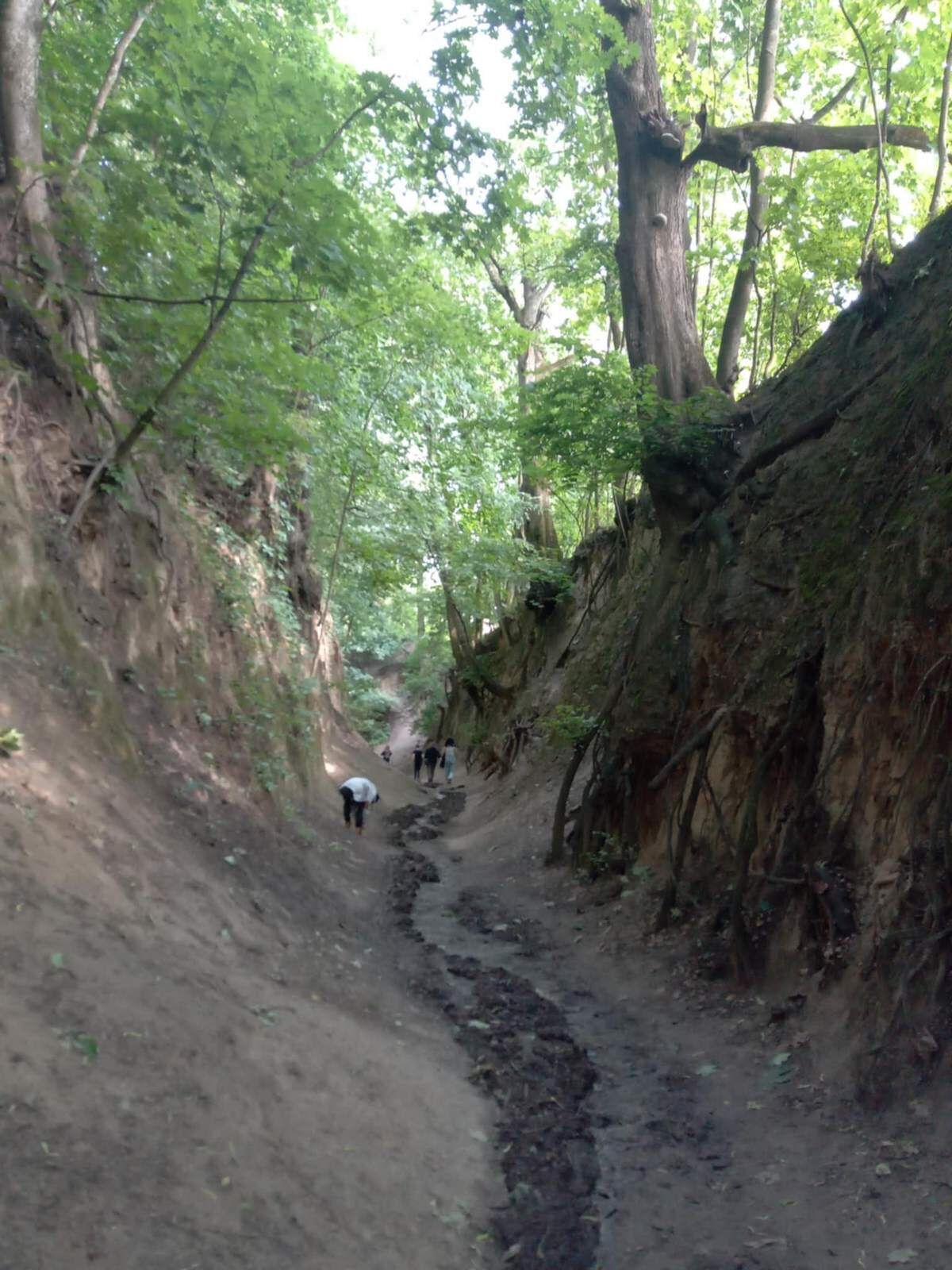 dzisuczenjutrostudent 43