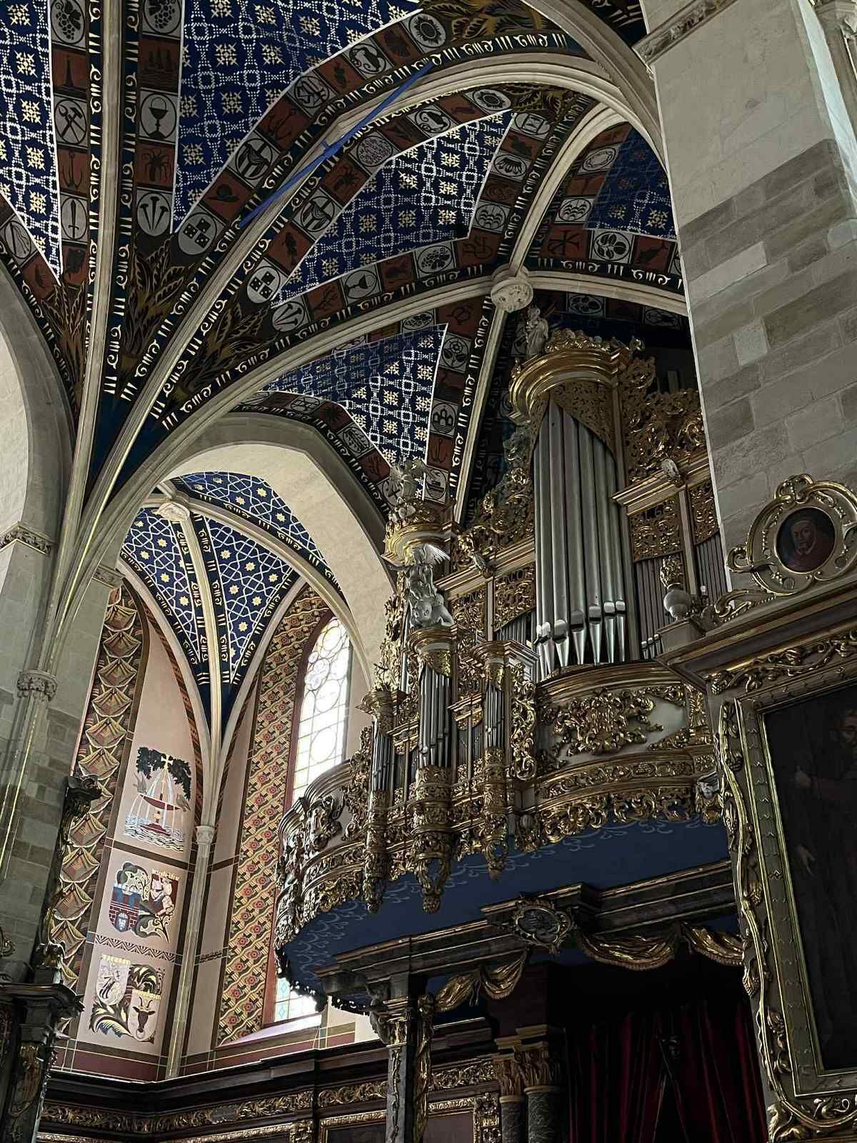 dzisuczenjutrostudent 53