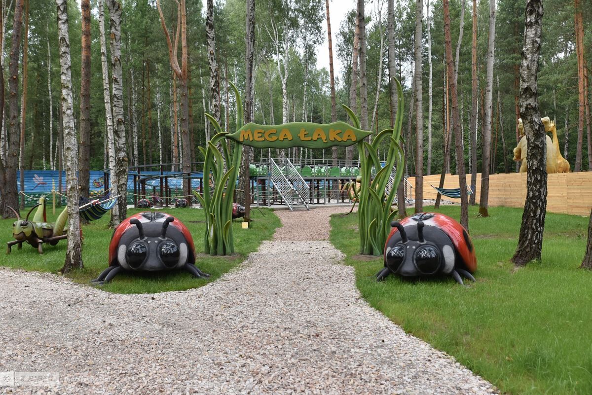 54