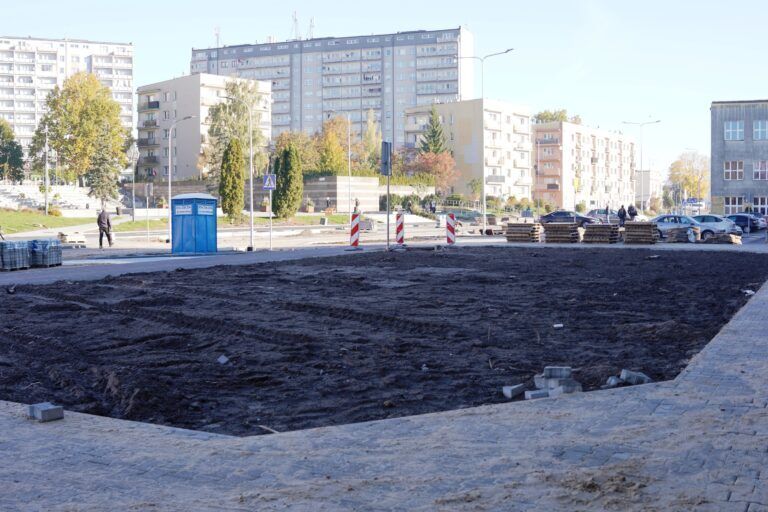 DSC04397 768x512