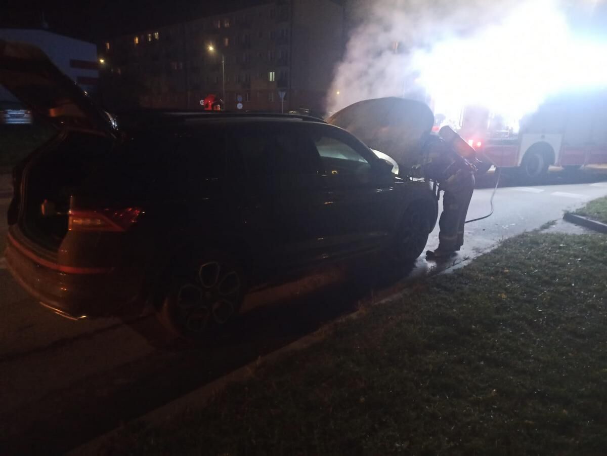 9bae646b 00ae 4b71 a551 26645d83aacc