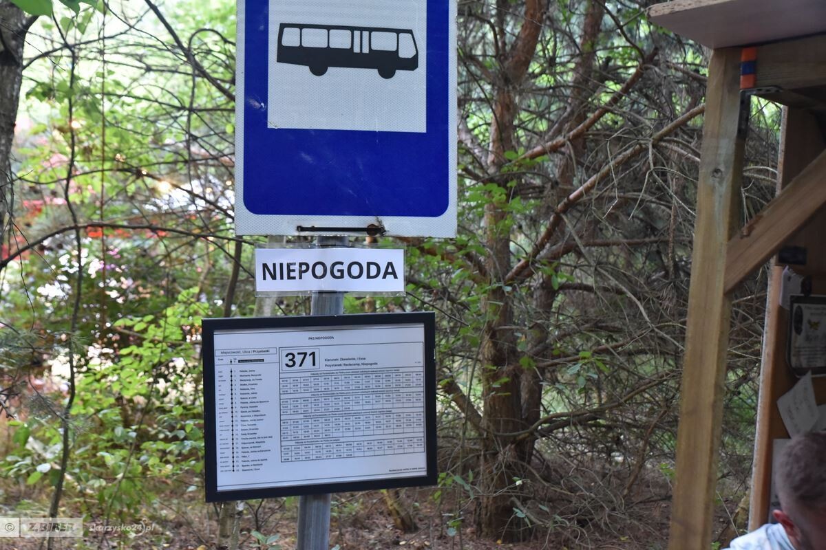 77 1a3ed