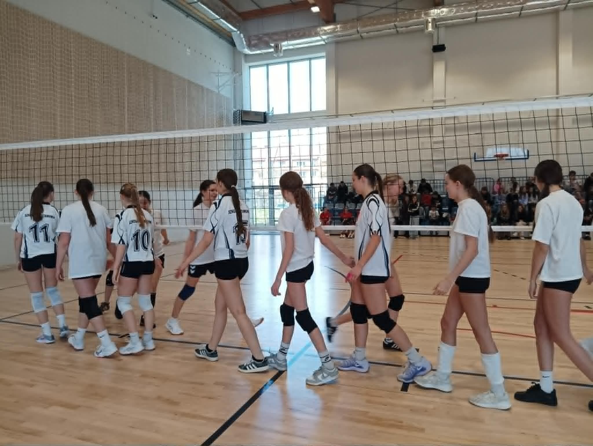 36a8f894 3c34 4a59 92db 3039e5a0d4e0